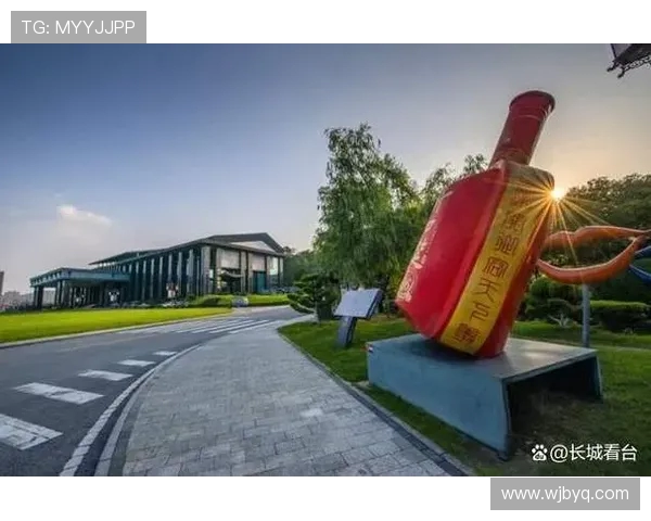 南京头排苏酒对阵再掀风云 老字号酒业竞争新格局探析