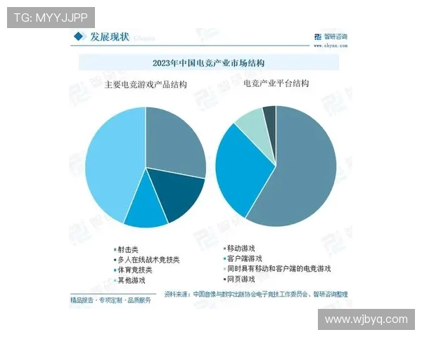 电竞行业崛起与发展趋势分析:从竞技赛事到全球文化现象的演变 电竞行业崛起与发展趋势分析:从竞技赛事到全球文化现象的演变