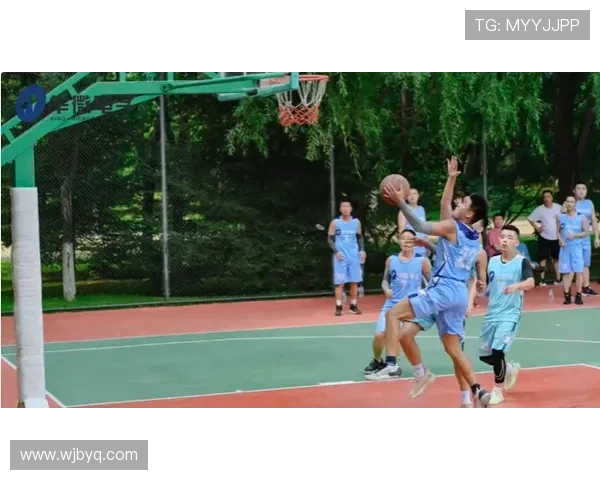 以篮球为纽带探寻团队协作与青春拼搏精神的深层力量