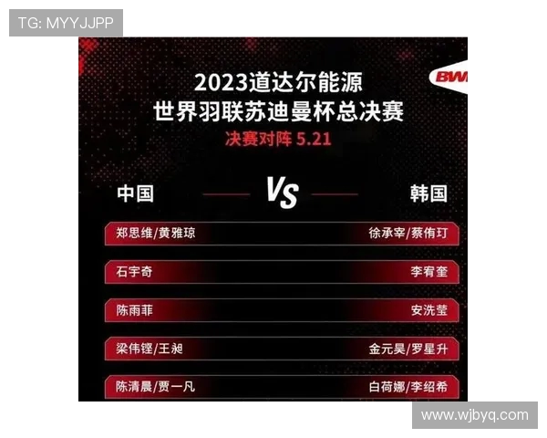 上海羽毛球队在世界锦标赛中的团队协作表现分析与评价